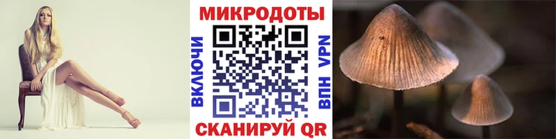 Галлюциногенные грибы Psilocybe  blacksprut ONION  Великий Устюг 